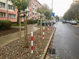 Szczecin, Pomorzany: koniec przebudowy ul. 9 Maja 