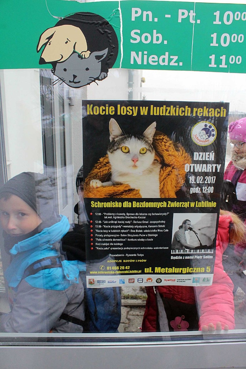 Dzień Otwarty w Schronisku dla Bezdomnych Zwierząt w Lublinie