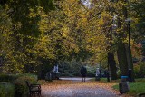 Jesień w Toruniu. Dolina Marzeń, parki i aleje drzew mienią się różnymi kolorami