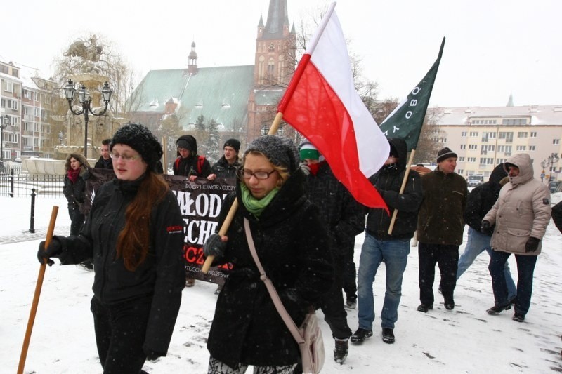 Manifestacja NOP w Szczecinie