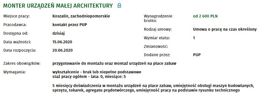 Praca w Koszalinie. Ponad 40 nowych ofert. Sprawdź szczegóły!