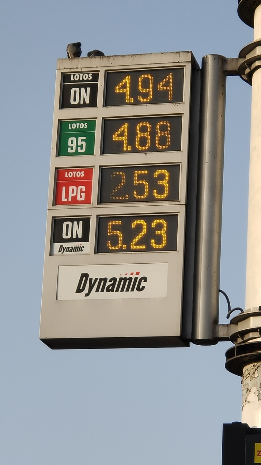 Ceny paliw na stacjach benzynowych w Dąbrowie Górniczej