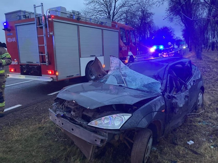 Kolonia Boćki. Wypadek na DK 19. Ford uderzył w drzewo, jedna osoba trafiła do szpitala [ZDJĘCIA]