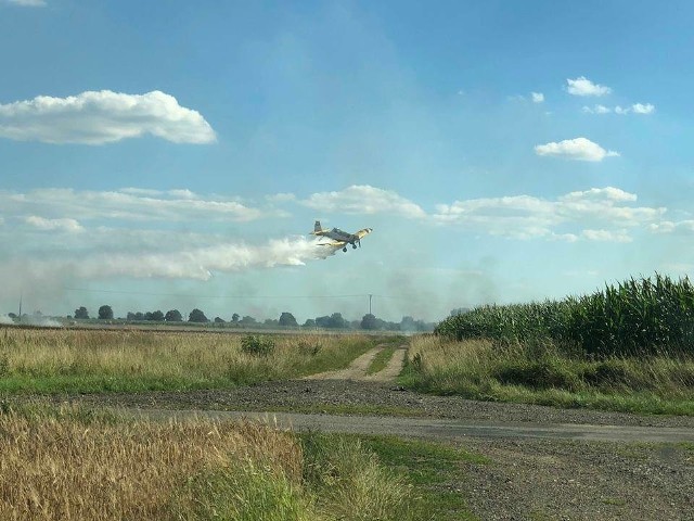 Pożar zboża w Rudzie gasił samolot. Mimo to spłonęło 6 hektarów zboża na pniu oraz 3,5 hektara ścierniska. Straty oszacowano na 15 tysięcy złotych