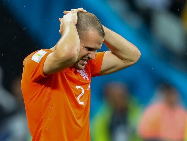 Ron Vlaar