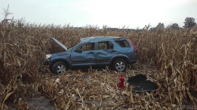 Kierowca osobowej hondy stracił panowanie nad samochodem i zjechał do rowu. Auto dachowało. Do wypadku doszło na drodze krajowej 42 w Domaszowicach (trasa Namysłów-Wołczyn). Hondą jechała czteroosobowa rodzina. Na miejscu lądował śmigłowiec Lotniczego Pogotowia Ratunkowego, który zabrał jedną osobę do szpitala.