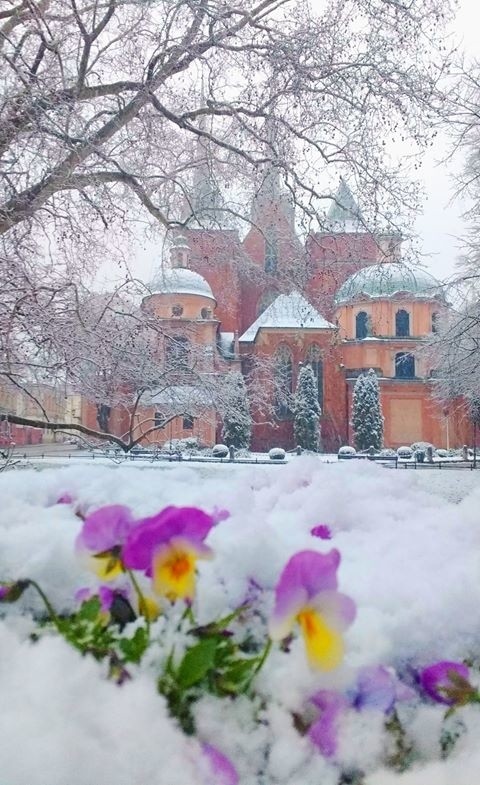 Wrocław pod śniegiem. Oto Wasze zdjęcia zasypanego miasta