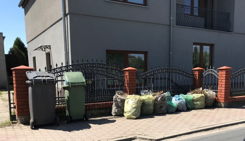 W weekend majowy śmieci zalegały w Dąbrowie i Dąbrówce około...