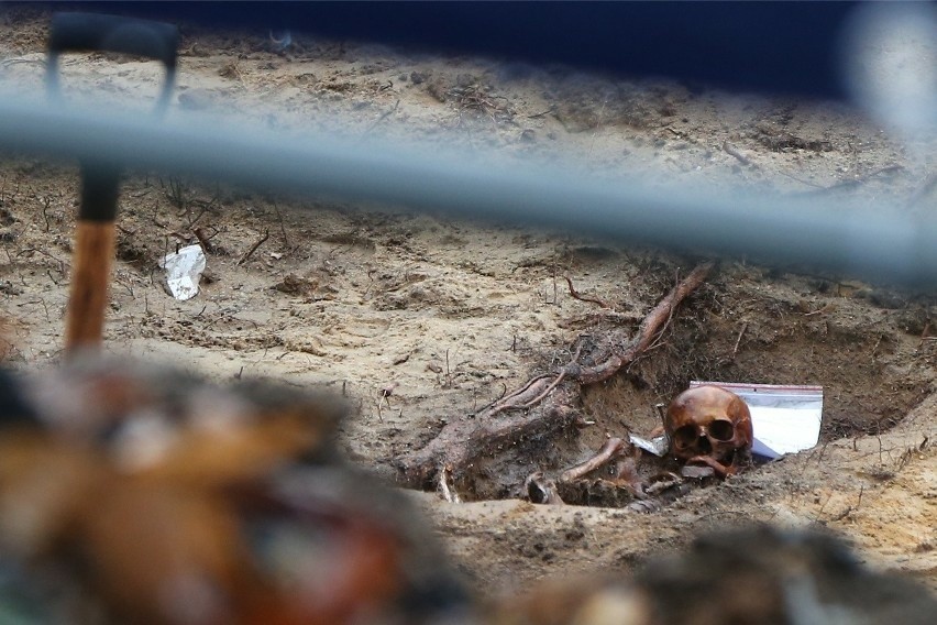 Ludzkie szczątki odnaleziono podczas prac archeologicznych...