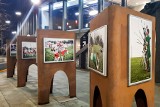 Przystań Sztuki zaprasza na wystawę "Amp futbol w Poznaniu". Można ją zwiedzać do 7 grudnia przy poznańskim Bałtyku