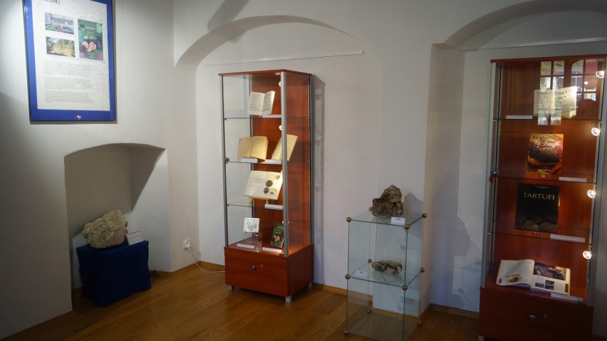 W Pińczowie obejrzymy wystawę "Trufle- zapomniany skarb Ponidzia". Zobacz zdjęcia