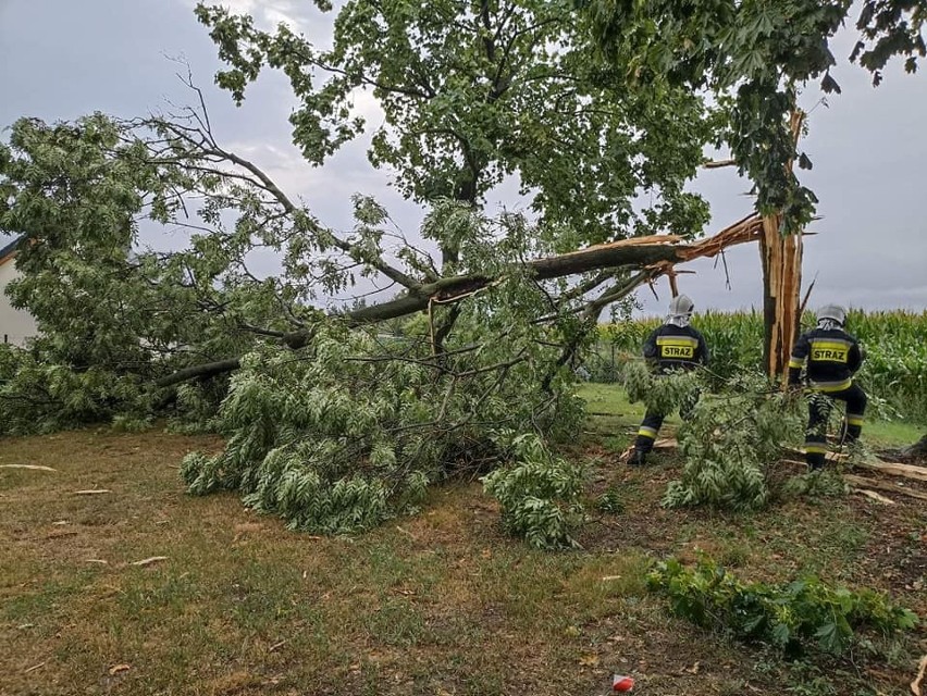 W sobotę o godzinie 17.25 strażacy z OSP KSRG Gniechowice...