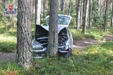 Powiat biłgorajski: Pijani jechali do domu przez las. Uderzyli w drzewo i zasnęli
