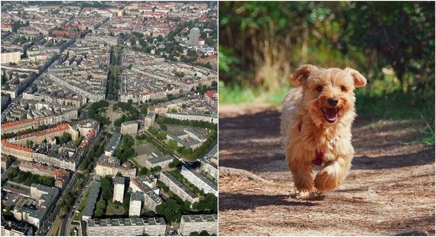 Tym razem autorzy Rankingu Dzielnic Otodom (w przypadku...