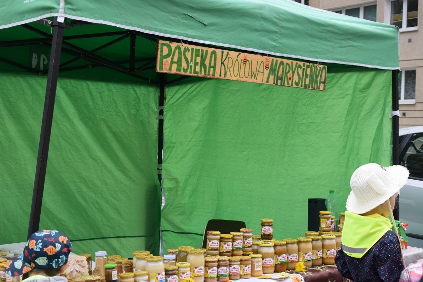 Międzynarodowy Dzień Pszczół w Słupsku. Dzieci lgną do miodu