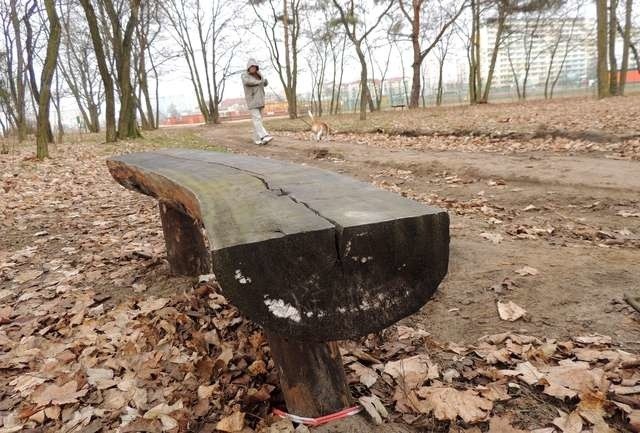 W opinii Czytelników ze wschodniej części Torunia, urzędnicy mogliby łaskawszym okiem spojrzeć na tereny zielone Przy Skarpie