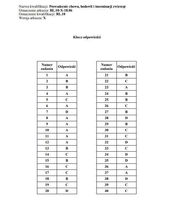 Egzamin zawodowy 2019 CKE. WYNIKI. Klucz odpowiedzi, nowe...