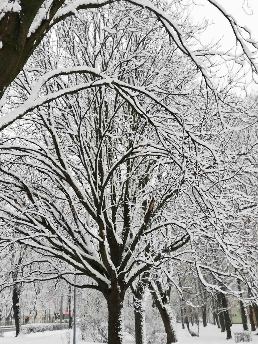 Lublin zasypany śniegiem. Czekamy na Wasze zdjęcia!