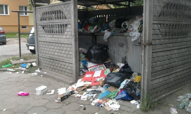 Osiedlowe wysypisko śmieci na Dąbrowie