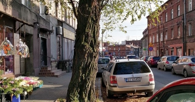 Mieszkańcy Katowic chcą, by drzewo przy ul. Markiefki 81 zostało wycięte. Nie ma na to jednak zgody