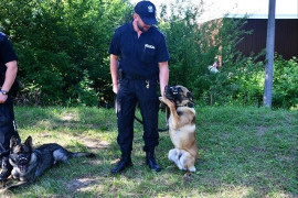 Wojewódzkie konkursy służby prewencyjnej 2018