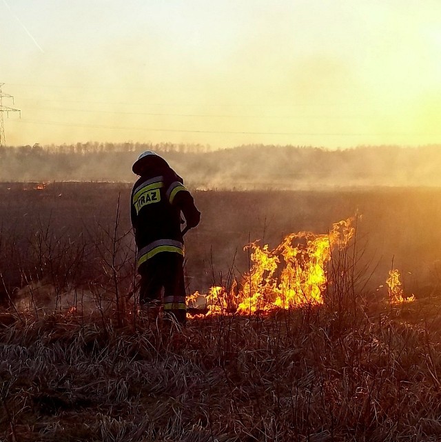 Strażacy z Białogardu już nie raz musieli gasić pożar traw.