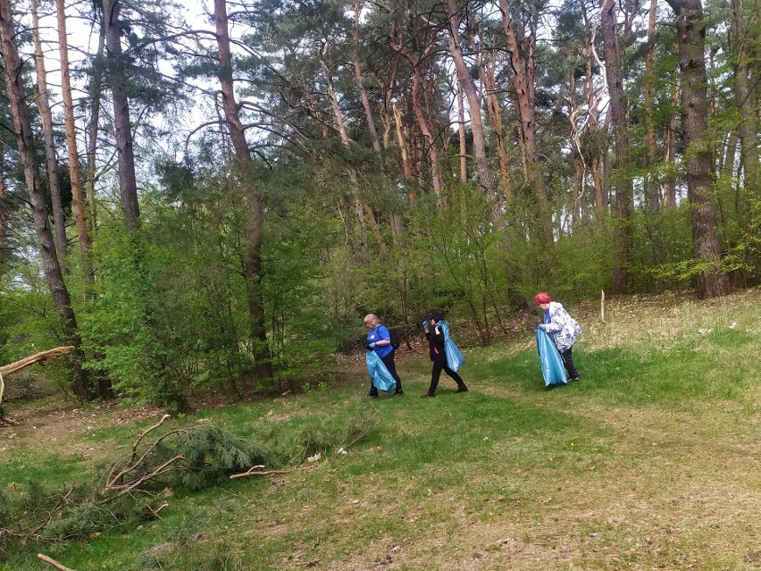 Wolontariuszki z Uniwersytetu Trzeciego Wieku sprzątały las...