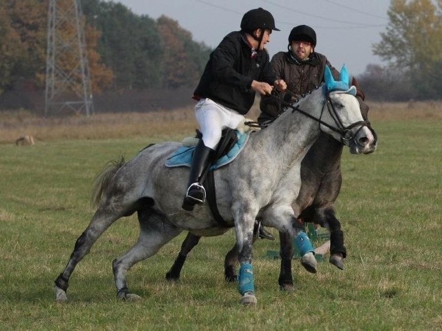 Lisią kitę (trzyma jeździec na koniu z niebieskimi ozdobami) złapał jeździec i fotograf koni Mateusz Staszałek.
