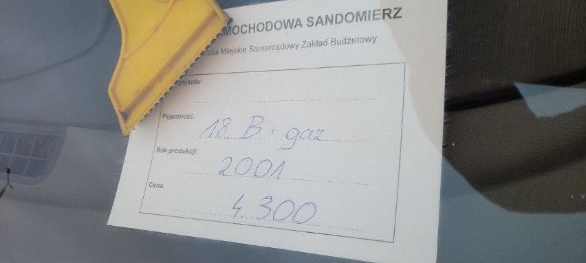 Samochody na giełdzie w Sandomierzu. Było w czym wybierać (ZDJĘCIA)