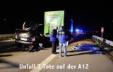 Tragiczny wypadek w Niemczech. Zginęło trzech Polaków (zdjęcia, wideo)