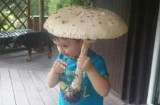 Wysyp grzybów w kujawsko-pomorskich lasach! [zdjęcia od Czytelników]