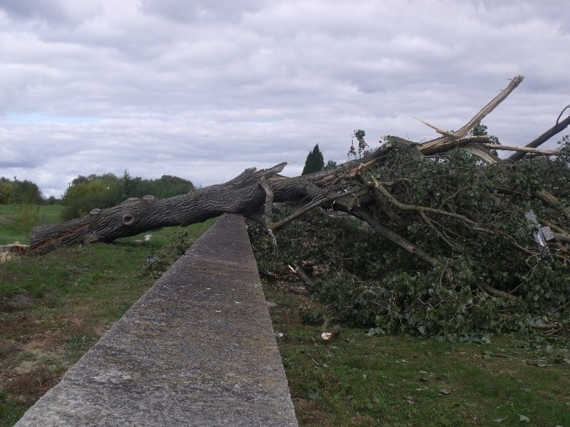 Drzewo przewróciło się niszcząc kilkanaście grobów