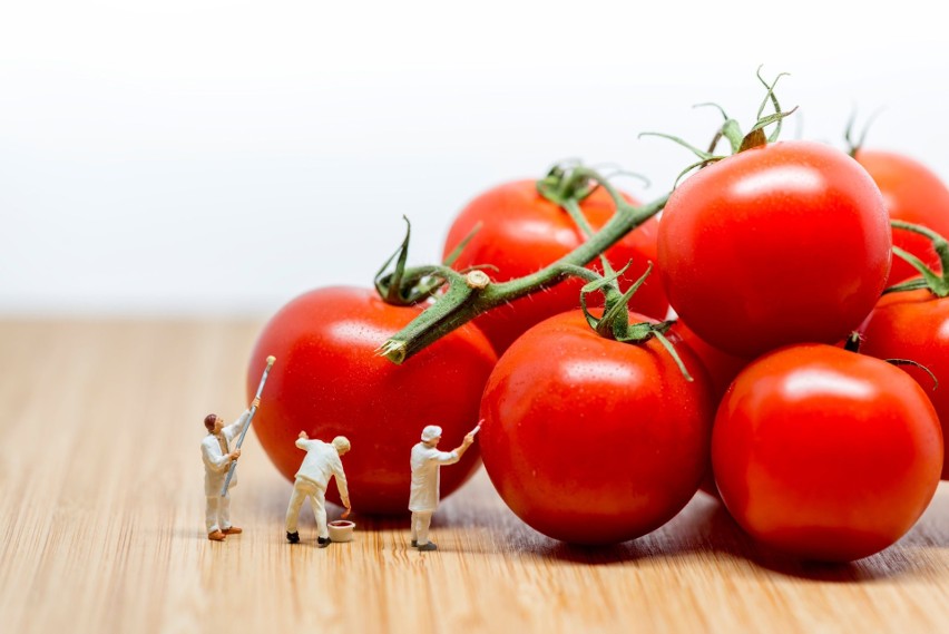 Każda odmiana pomidora, bez względu na kolor, zawiera...