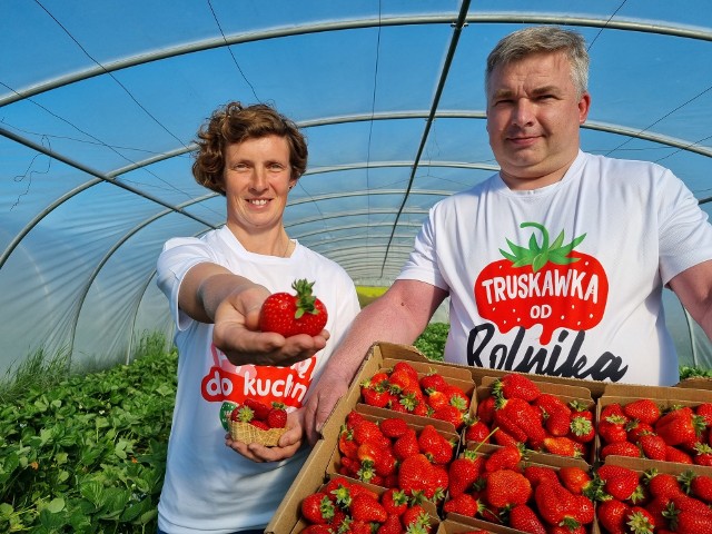 Szypułka prawdę nam powie, czyli jak rozpoznać polską truskawkę? Podpowiadamy!