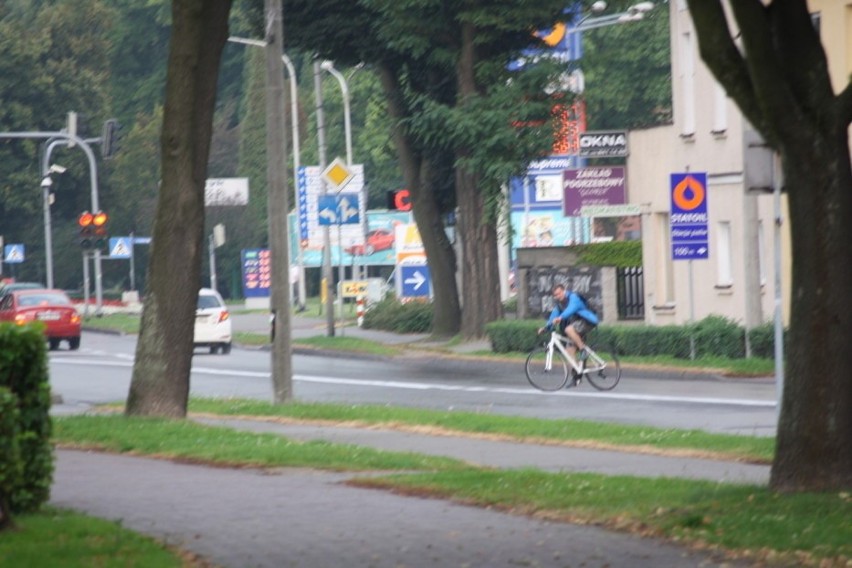 Ten rowerzysta przejeżdża ulicę Dąbrowskiego w poprzek, choć...