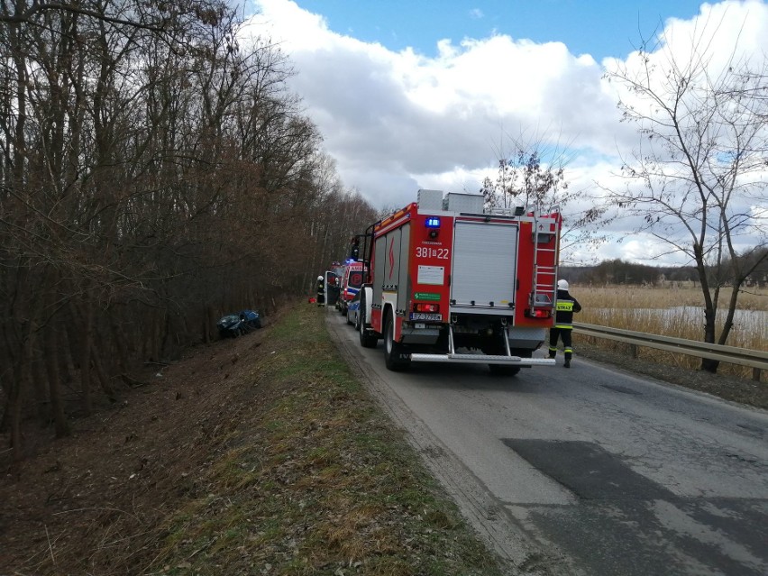 Wypadek w Dąbrowicy. Auto wypadło z drogi, kobieta została ranna (ZDJĘCIA)