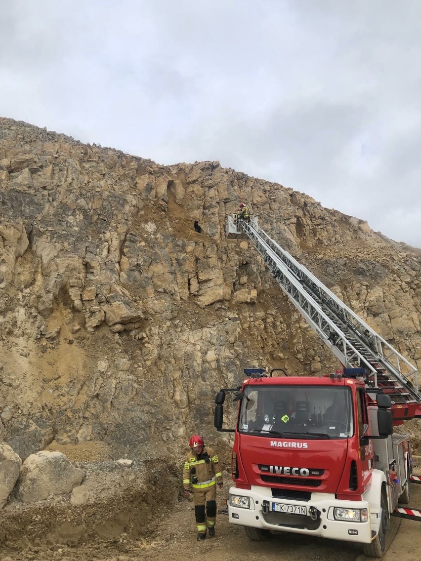 Pies utknął na półce skalnej na wysokości 17 metrów na terenie kopalni w gminie Łagów. Pomogli strażacy