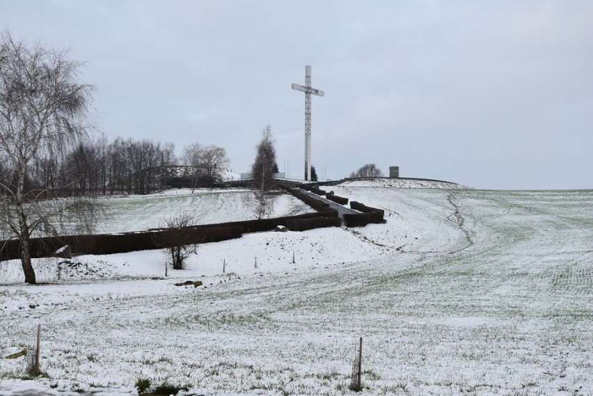 Śnieg zagościł na krótko w Tczewie, Pelplinie, Gniewie