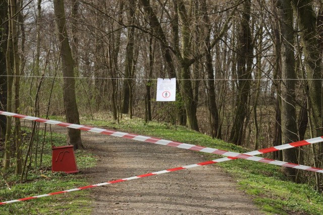 Zakaz wejścia do lasów obowiązuje od 3 kwietnia.