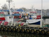 Port rybacki w Kołobrzegu na drugim miejscu pod względem przeładunku ryb