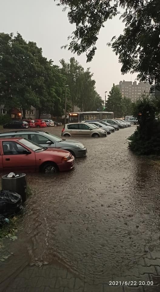 - Konieczne jest jej wspomaganie, poprzez tworzenie terenów...