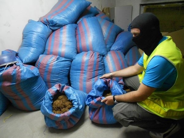 Policjanci znaleźli prawie 500 kg nielegalnego tytoniu.