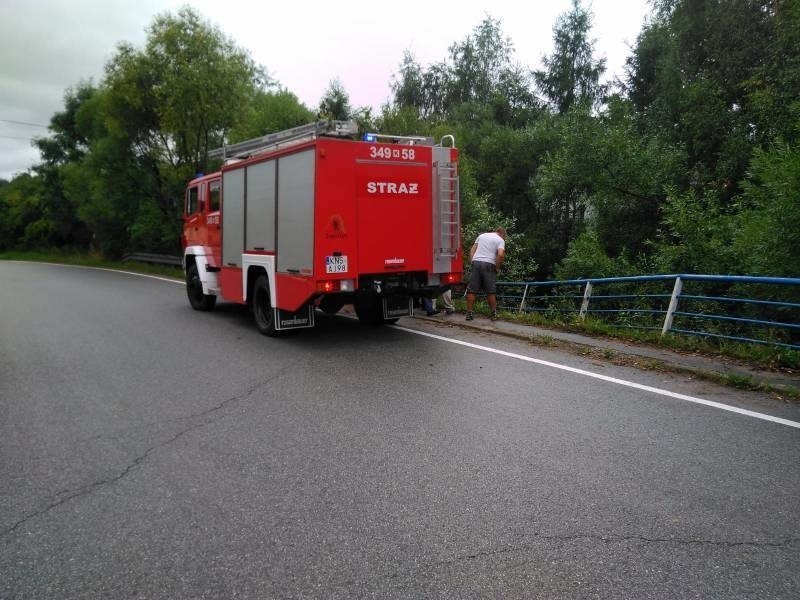 Zagorzyn. Samochód osobowy staranował barierkę i wpadł do potoku [ZDJĘCIA]