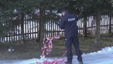 Lubomin. Atak na policjantów pod Wałbrzychem. Padły strzały (wideo)