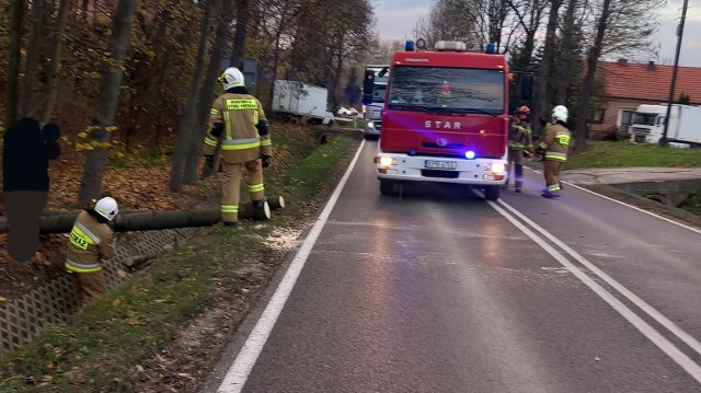 Druhowie z OSP Przesławice wspólnie ze strażakami z JRG w Proszowicach usuwali drzewo, które przewróciło się na drogę wojewódzką Proszowice - Słomniki