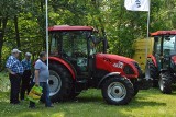 XXIX Targi Rolniczo-Ogrodnicze w Kościerzynie. To największa impreza wystawiennicza w regionie. Zobacz zdjęcia