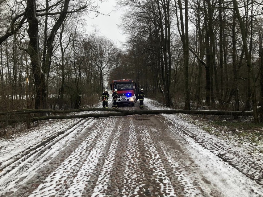 Powalone drzewa na drogę na odcinku Kalinówka Kościelna -...