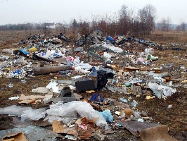 To dzikie wysypisko śmieci strażnicy miejscy odkryli przy ulicy Solarza na Wincentowie. W stosie różnych odpadów znajdują się eternit i strużyna garbarska.