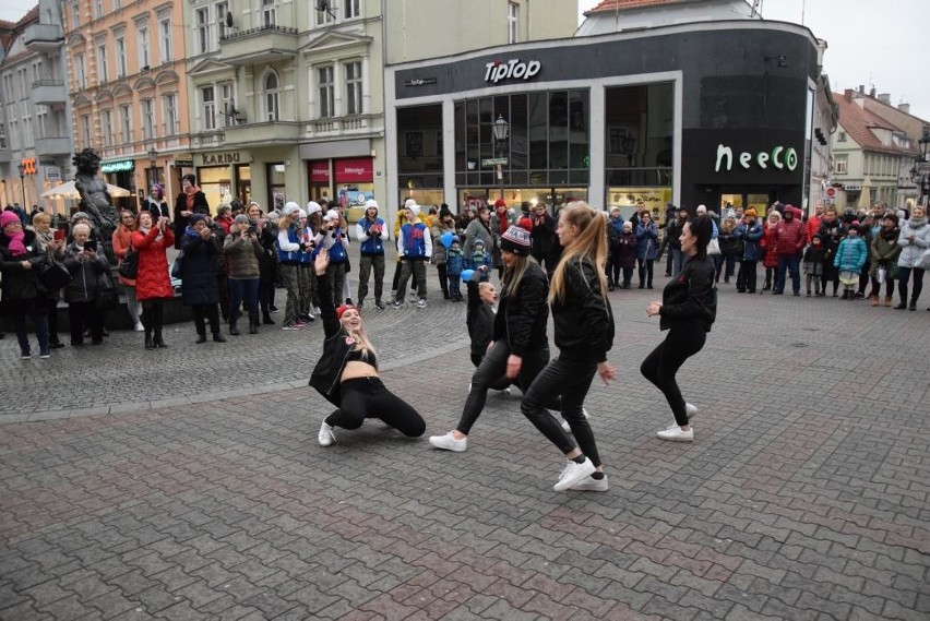 Akcja "Kocham Zielona Górę"