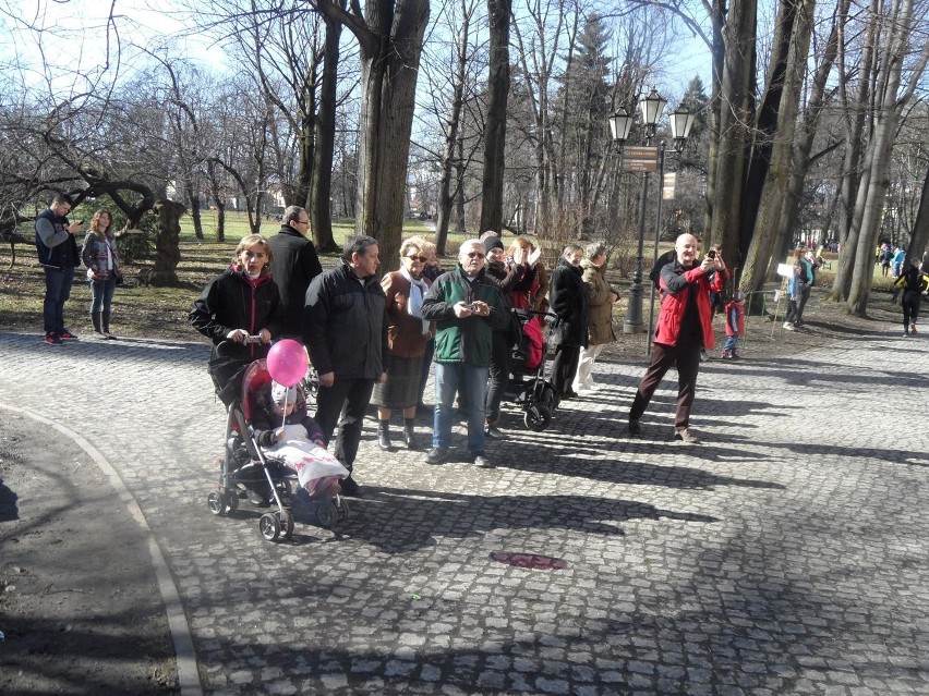 Bieg Polki dla Polki w Żywcu. Promowali profilaktykę badań i zbierali pieniądze [ZDJĘCIA+WIDEO] 